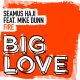 Seamus Haji, Mike Dunn - Fire [Big Love]