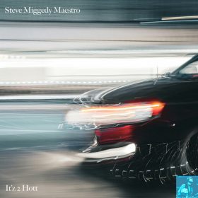 Steve Miggedy Maestro - It'z 2 Hott [Miggedy Entertainment]
