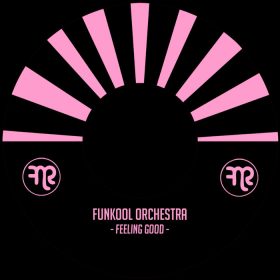 Funkool Orchestra - Feeling Good [Phonotype]