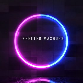 ACCESS RECORDS - SHELTER MASHUPS VOL 1 [bandcamp]