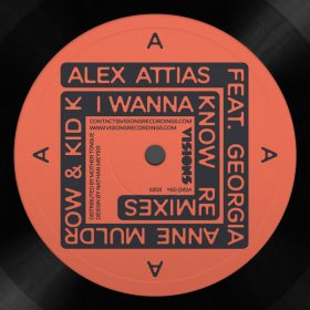 Alex Attias, Georgia Anne Muldrow, Kid K. - I Wanna Know (Remix) [Visions Recordings]