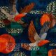 Boddhi Satva, Kisi - Bird [Offering Recordings]