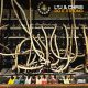 LTJ Xperience, Christian Lisi - Do It Strong [Irma]