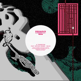 Pegasvs Feat. Nathan Haines - Transition [Burnin Music]