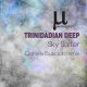 Trinidadian Deep - Sky Surfer (Daniele Busciala remix) [Manuscript Records Ukraine]