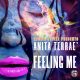Reggie Steele, Anita Terrae - Feeling Me [Steele Records]