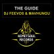 DJ Feevos, Mavhungu - The Guide [Kemet Soul Records]