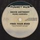 David Anthony, Pedro Herrera - Free Your Mind [Planet Hum]