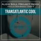Sean Biddle, Oggie B - Transatlantic Cool (Audio Soul Project Remix) [Bid Muzik]