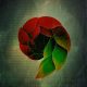Trinidadiandeep - Essential Dub [bandcamp]