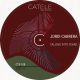 Jordi Cabrera - Falling Into Years [CATELE RECORDINGS]