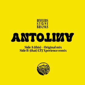Revelers Stone Bricks, LTJ Xperience - Antotina [Turntables on the Hudson]