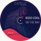 Bizio Cool - On The Way [CATELE RECORDINGS]