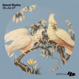 Natural Rhythm - The Jive EP [Seasons Recordings]