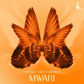 Choujaa, ZIDDO, MJ Sings - Mwari [Afroholic Records]