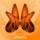 Choujaa, ZIDDO, MJ Sings - Mwari [Afroholic Records]