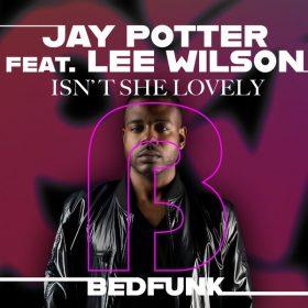 Jay Potter, Lee Wilson - Isn't She Lovely [Bedfunk]