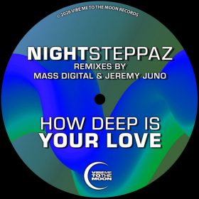 Nightsteppaz - How Deep Is Your Love [Vibe Me To The Moon]