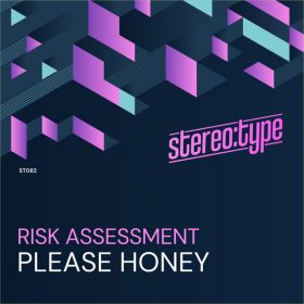 Risk Assessment - Please Honey [Stereo-type]