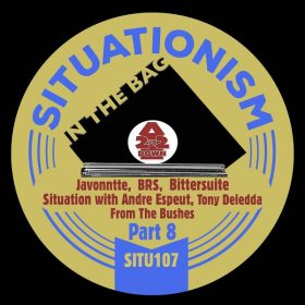 Various Artists - In the Bag- 2Up2Down, Pt. 8 [Situationism]