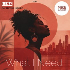 L.I.N.G, ZooTown Harmony - What i Need [Push The Button Recordings]