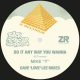 Mike T - Do It Anyway You Wanna (Dave Love Lee Mixes) [Z Records]