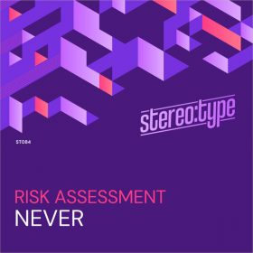 Risk Assessment - Never (Risk Assessment Deep Burnt Mix) [Stereo-type]