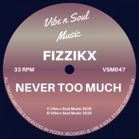 Fizzikx - Never Too Much [Vibe n Soul Music]