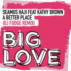 Seamus Haji, Kathy Brown - A Better Place (DJ Fudge Remix) [Big Love]