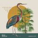 Shaka - Smoky Club EP [Seasons Limited]