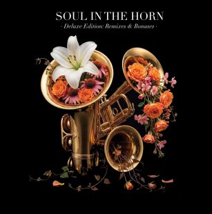 Various - Soul In The Horn 10 Year Anniversary Edition (Act 4) - Remixes & Bonuses [Soul In The Horn]