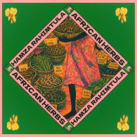 Hamza Rahimtula - African Herbs [Wind Horse Records]