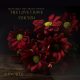 IQ Musique, Anaud Strong - The Love I Have For You (Rework) [Blu Lace Music]