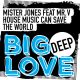 Mister Jones, Mr. V - House Music Can Save The World [Big Love Deep]