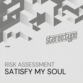 Risk Assessment - Satisfy My Soul [Stereo-type]