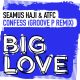 Seamus Haji, ATFC - Confess (Groove P Remix) [Big Love]